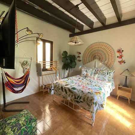 The Garden Apartment, The Willow Apartment, & The Tropical Apartment At Casa Of Essence In Old San Juan Exteriör bild
