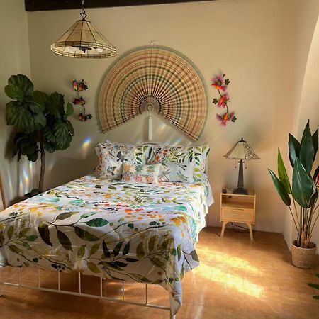 The Garden Apartment, The Willow Apartment, & The Tropical Apartment At Casa Of Essence In Old San Juan Exteriör bild