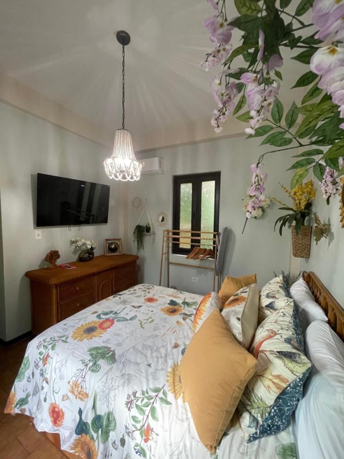 The Garden Apartment, The Willow Apartment, & The Tropical Apartment At Casa Of Essence In Old San Juan Exteriör bild