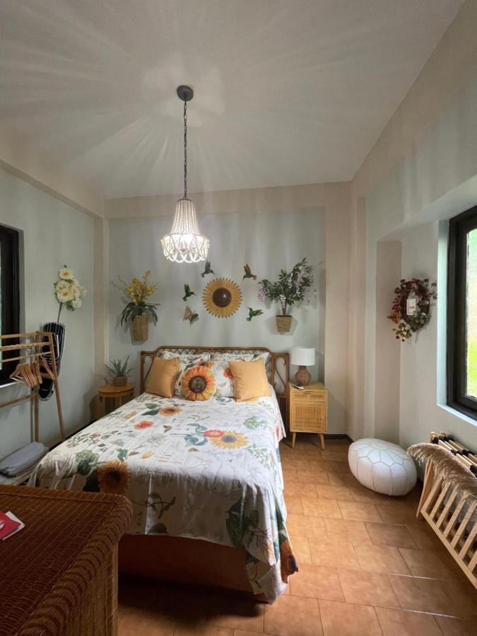 The Garden Apartment, The Willow Apartment, & The Tropical Apartment At Casa Of Essence In Old San Juan Exteriör bild
