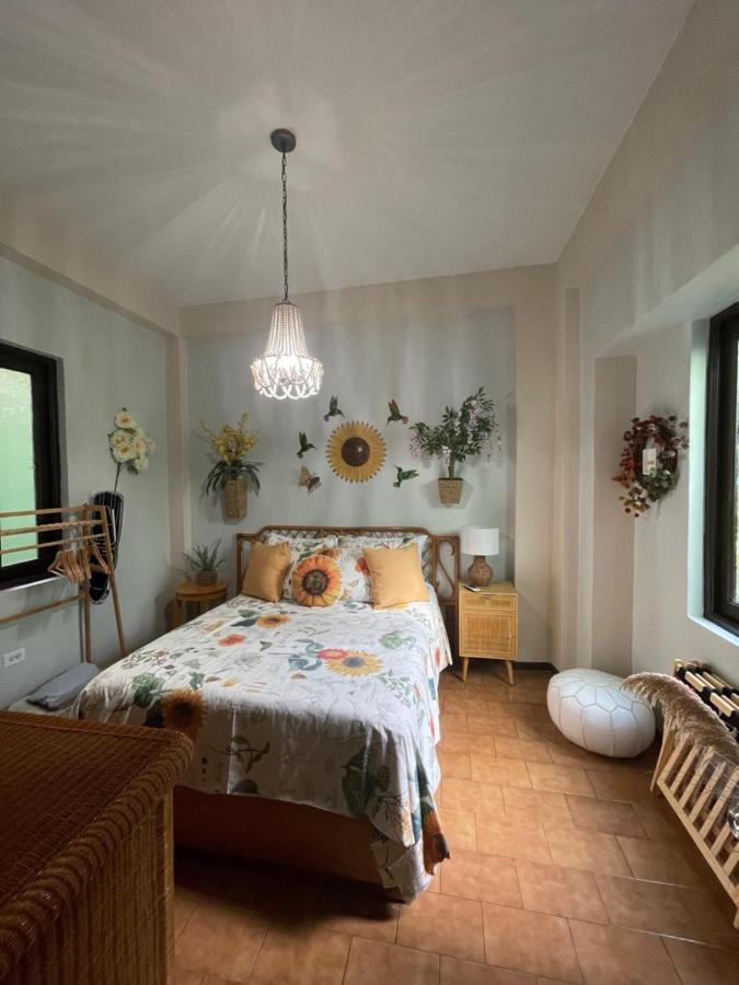 The Garden Apartment, The Willow Apartment, & The Tropical Apartment At Casa Of Essence In Old San Juan Exteriör bild