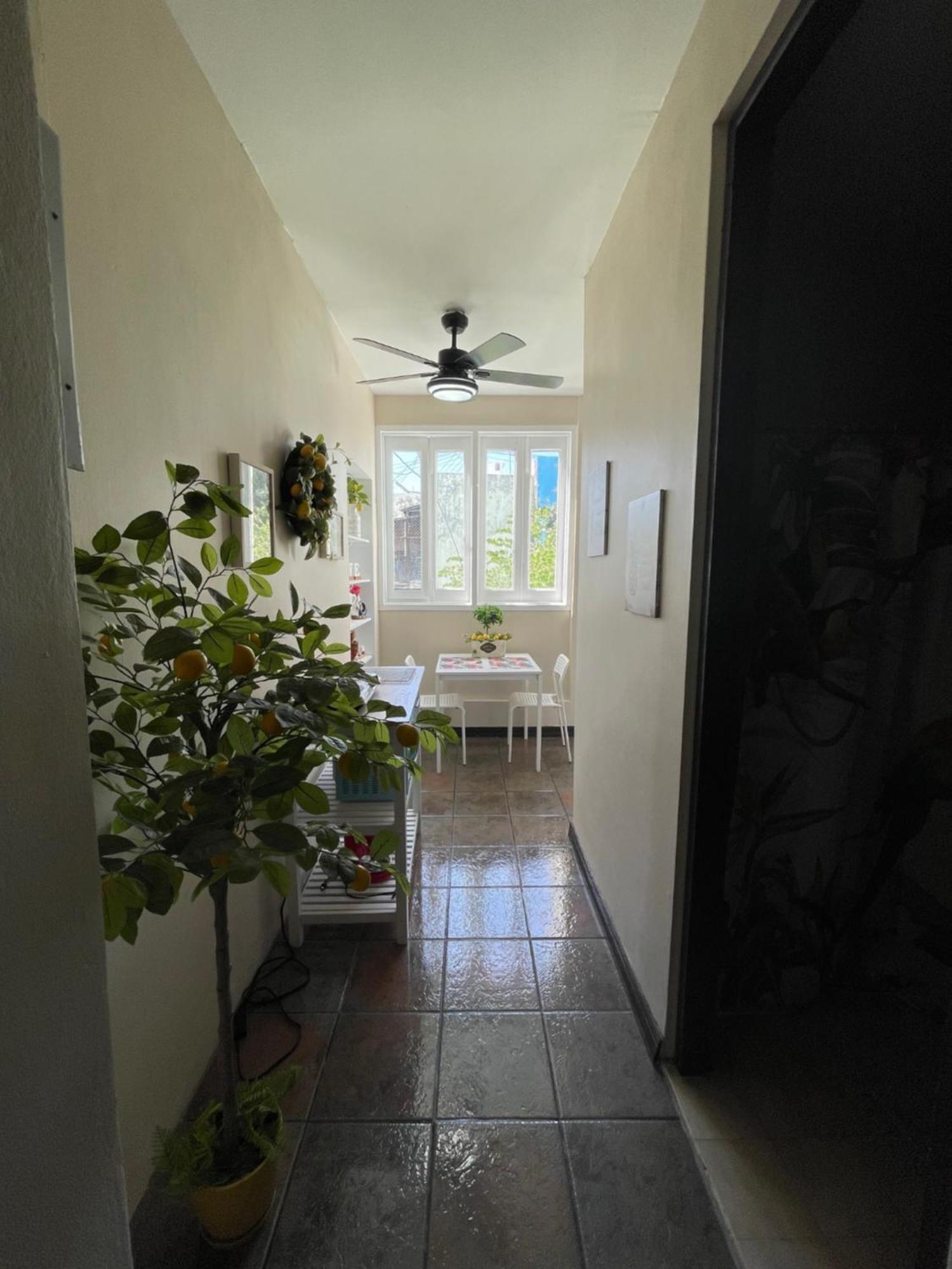 The Garden Apartment, The Willow Apartment, & The Tropical Apartment At Casa Of Essence In Old San Juan Exteriör bild