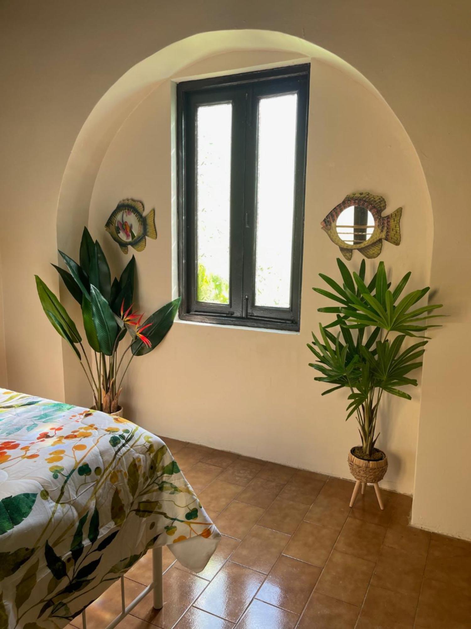The Garden Apartment, The Willow Apartment, & The Tropical Apartment At Casa Of Essence In Old San Juan Exteriör bild