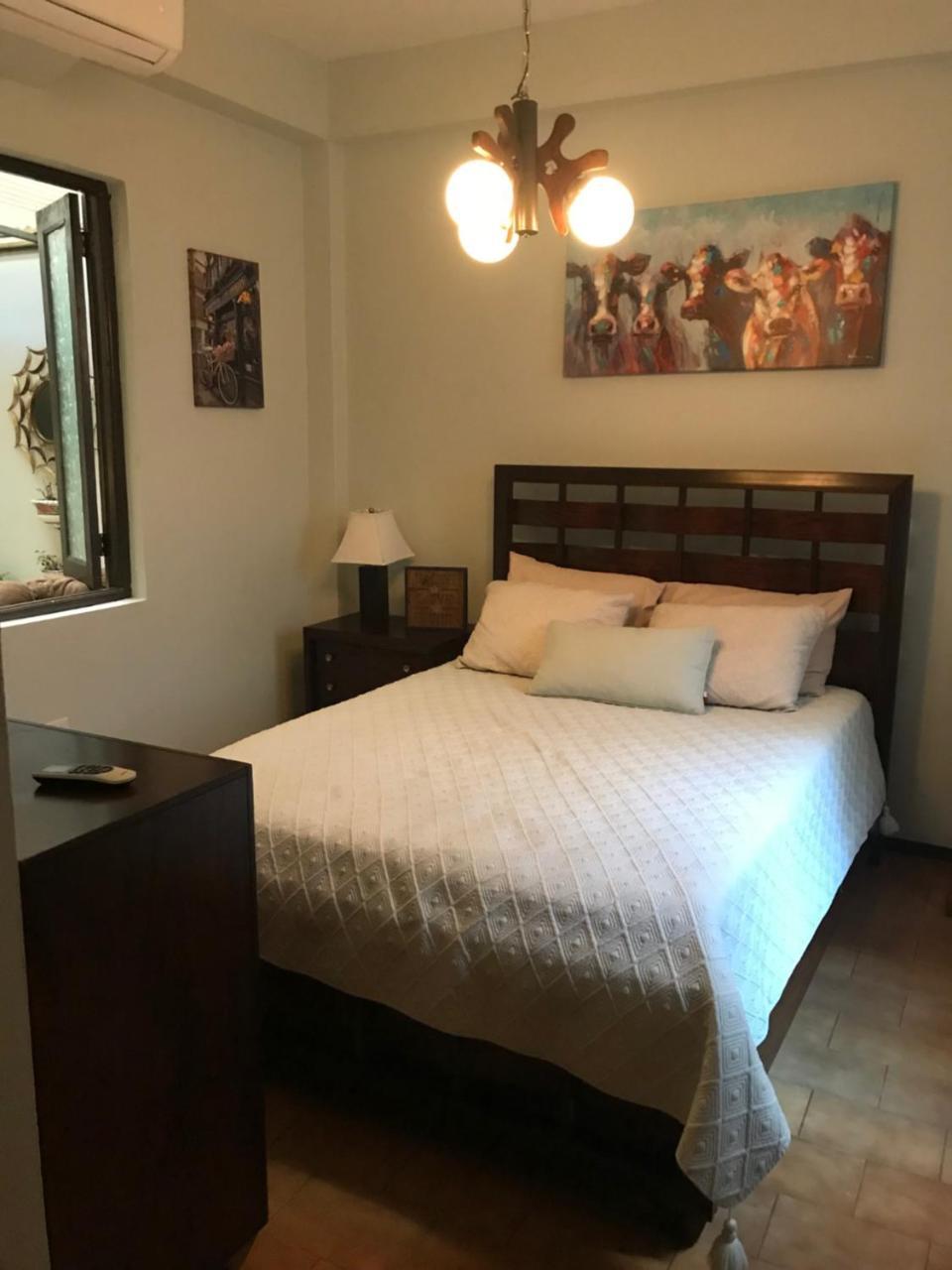 The Garden Apartment, The Willow Apartment, & The Tropical Apartment At Casa Of Essence In Old San Juan Exteriör bild